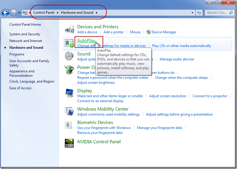 Biometric devices in Windows. Where II Hardware and Sound in Control Panel. How to autorun via js.